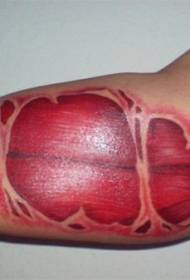 patrón realista de tatuaxe de bágoas de músculos e ligamentos no brazo