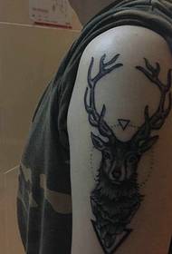 Arm süß Hirsch Tattoo Muster Stimmung ist sehr gut