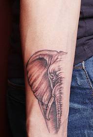 arm kreative halvdags baby elefant tatoveringsmønster