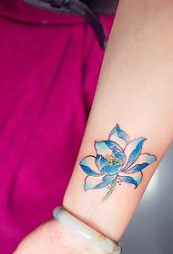 arm colorful lotus tattoo pattern