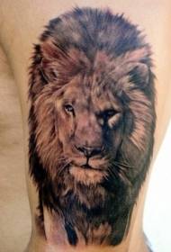 Bewaffnen Sie sich mit dem wunderbaren realistischen Lion-Tattoo-Muster