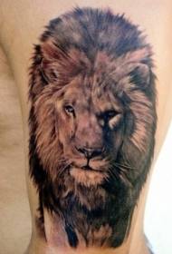Faʻaofuofu i luga o le mamanu matagofie o le peʻa o le peʻa Lion