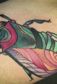 mudellu di tatuaggi di insetti vivaci nantu à u bracciu