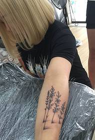 piccolo albero con motivo tatuaggio braccio parola inglese
