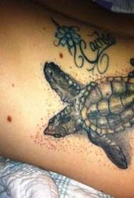 ruku prekrasan lijep uzorak tetovaža kornjače