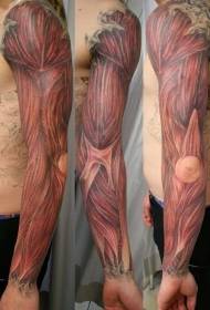 bras réaliste réaliste modèle de tatouage musculaire anatomique