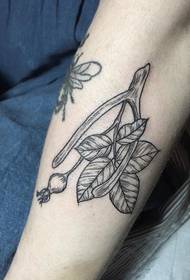 padrão de tatuagem requintada rosa mosqueta espinhosa preta no antebraço
