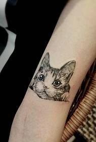arm one big eye small cat tattoo pattern