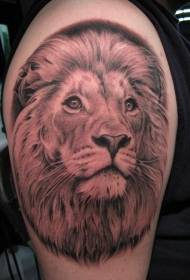 bello mudellu di tatuaggi di testa di leone in u bracciu