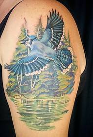 Big Bird Tattoo Pat ስርዓተ-ጥለት
