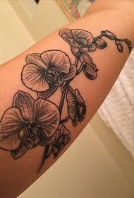 yakasvibirira nhema grey orchid tattoo pikicha pahuma