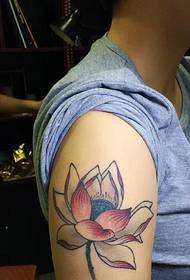 pútavý krásny obrázok lotosového tetovania