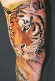 realistinen maalattu tiikeri pään tatuointikuvio