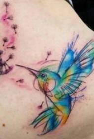 Татуіроўкі з крыламі 10 камплектаў татуіровак з рознымі стылямі і формамі з крыламі