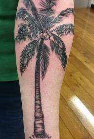 Coconut tree tattoo pattern Variety of small fresh literary tattoo sketch coconut tree tattoo pattern