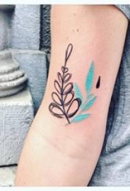 Lloj i thjeshtë tatuazhesh me vija të vogla të vogla të freskëta skica letrare tatuazhesh model i thjeshtë tatuazhesh me linja