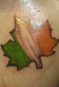 Awọ Irisi Awọ Irish Canada Flag Ilana tatuu