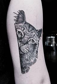 Шарени модел мачке тетоваже велике руке