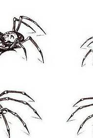 ຮູບແບບ Tattoo Spider ຂອງ ໜັງ ສືໃບລານ