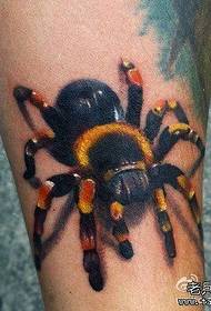Benen populaire knappe kleur spider tattoo patroon