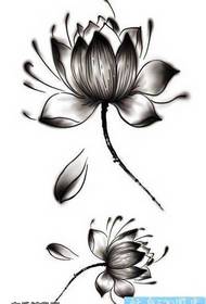 manuskrito ng isang pattern ng lotus tattoo