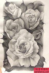 Eine exquisite Skizze eines Rose Tattoo Manuskripts