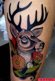 Pom zoo kom nrov qauv mos lwj tattoo rau txhua tus neeg