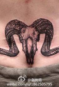 Талия популярный красивый рисунок татуировки овечьей кости