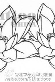 Līnijas skaists lotosa manuskripta tetovējuma raksts