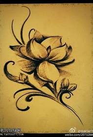 image manuscrite de tatouage de jasmin
