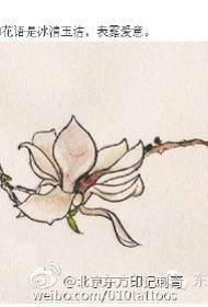 Bing Qing Yu Jie's Magnolia cov qauv tattoo tsim qauv