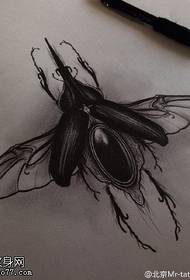 Käsikirjoitus Beetle Tattoo Pattern