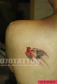 bellezza indietro un modello di tatuaggio rondine medusa popolare