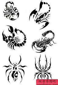 Tatuiruočių demonstravimo paveikslėlyje buvo rekomenduotas skorpiono vorų tatuiruočių modelių rinkinys