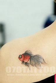 agterste skouerkleur goudvis-tatoeëringspatroon, selfs 'n tatoeëring van 'n tatoeëermerk word aanbeveel
