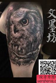 Tattoo faʻaali le ata mo oe e fautuaina se taʻiala taʻutaʻua le owl iloga