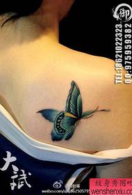 Fete spatele umerilor populare frumoasă culoare tatuaj fluture model