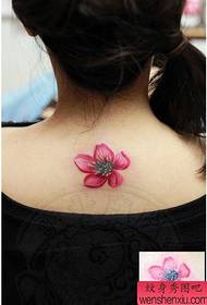 bela volta bela cor pêssego tatuagem padrão