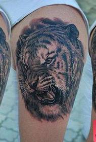 gizonezkoen besoa, tigre freskoa, tatuaje ereduarekin