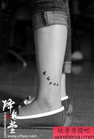 been kleine en kleine vogel tattoo patroon
