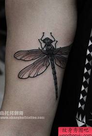 muundo mdogo wa tattoo ya joka kwenye mkono wa ndani