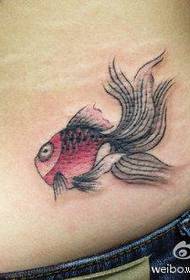 gadis pinggang kecil dan pola tato ikan mas kecil yang indah