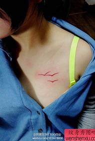 ntxhais hauv siab me me seagull tattoo qauv