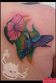 recommander une photo de tatouage colibri