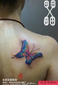 dievčatá ramená krásne krásne farby motýľ tetovanie vzor