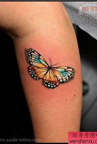 spalvos drugelio tatuiruotės modelis, kuris patinka mergaitei