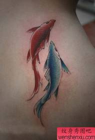 მხრის ლამაზი ლამაზი პატარა squid tattoo ნიმუში