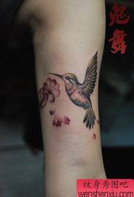 გოგონების იარაღი მცირე და პოპულარული hummingbird tattoo ნიმუში