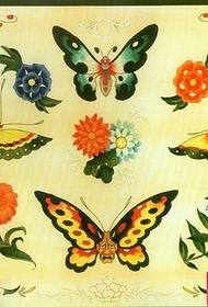 مجموعة جميلة جدا مخطوطة لون فراشة الوشم