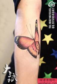 girl arm beautiful popular color butterfly tattoo pattern